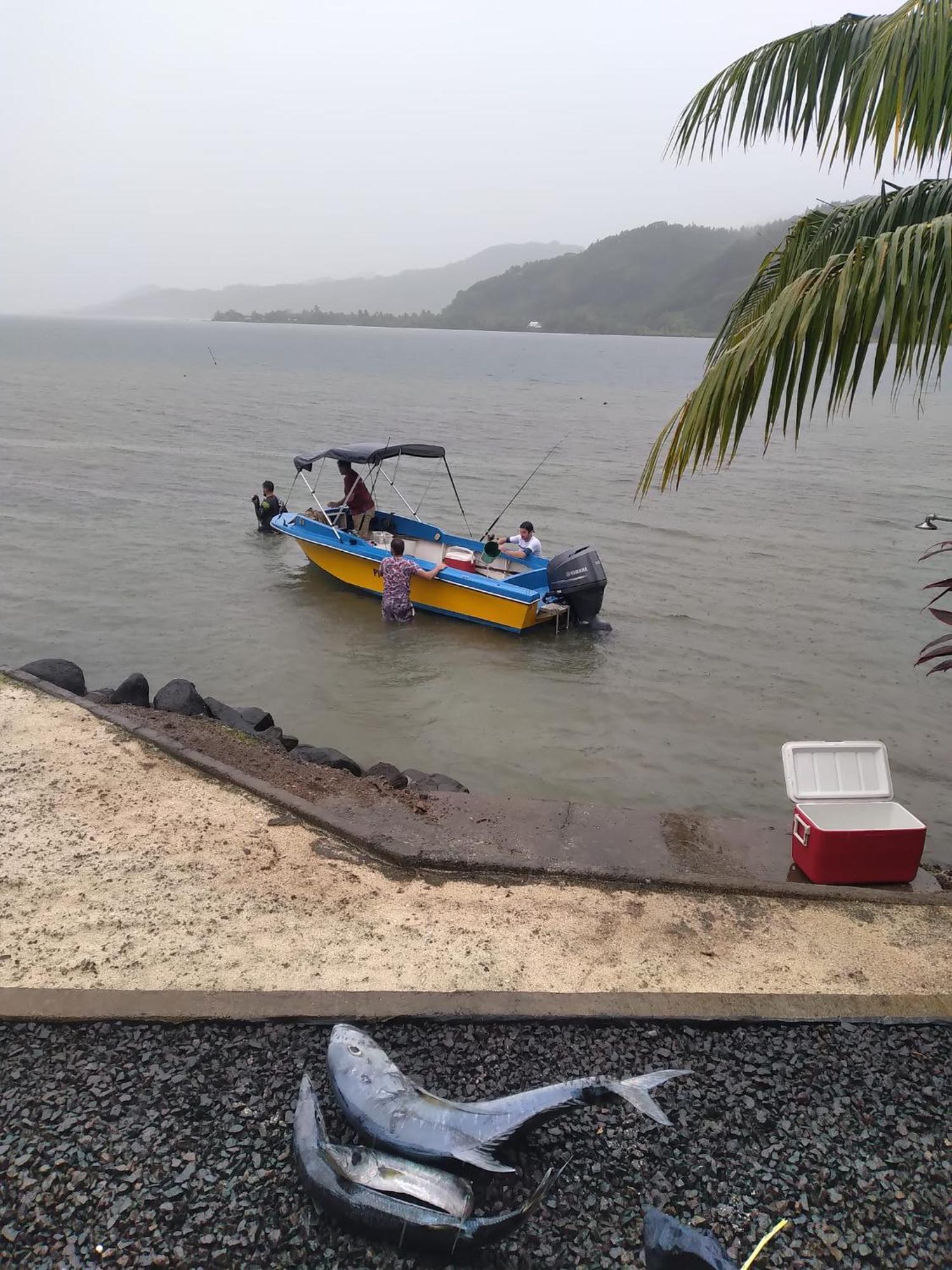 Villa De La Baie Raiatea - Bord De Mer ウツロア エクステリア 写真